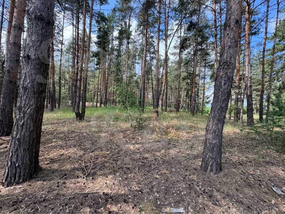 продажа участок под жилую застройку Бориспольский, Процев, 88000 $  - зображення 12