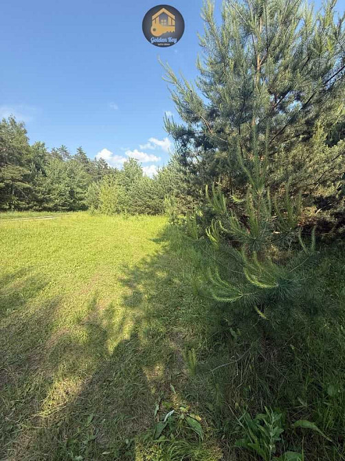 продажа земля сельскохозяйственного назначения Бориспольский, Гнедин, 90000 $  - зображення 2