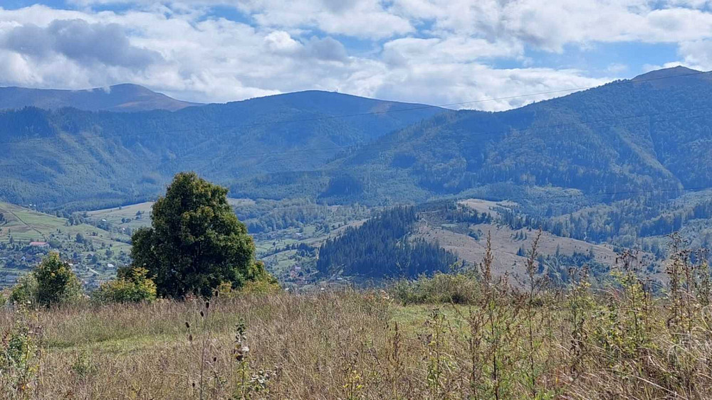 продажа земля рекреационного назначения Воловецкий, Воловец, 800000 $  - зображення 9