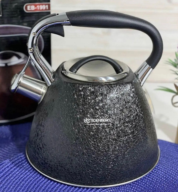 Чайник із свистком Edenberg EB-1991-Grey 3 л сірий Київ - зображення 1