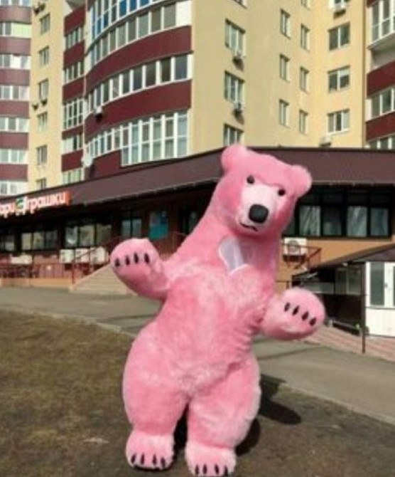 Надувний костюм 4 години безперервної роботи, Ювілеї, свята, реклама. 2.6 м 8 кг Київ - зображення 6