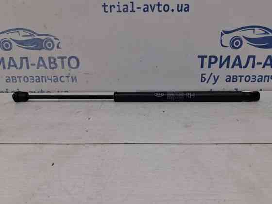 Амортизатор крышки багажника Kia Sportage 2010-2016 817803W000 (Арт. 60396) Киев