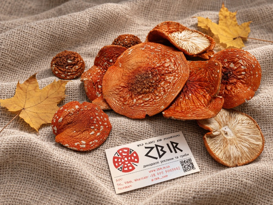 Мухомор ЧЕРВОНИЙ (Amanita Muscaria), сушені капелюшки. Сезон 2026 Полтава - зображення 1