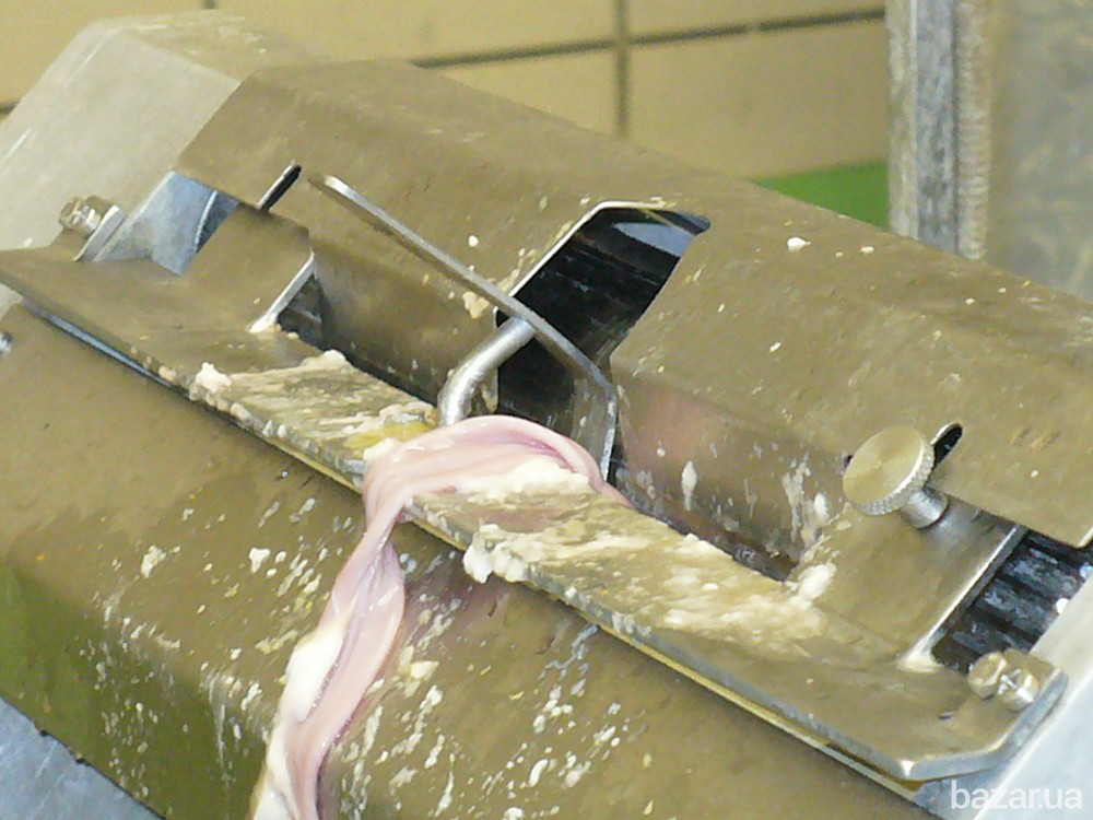 Оборудование для обработки субпродуктов и кишсырья Львів - зображення 3