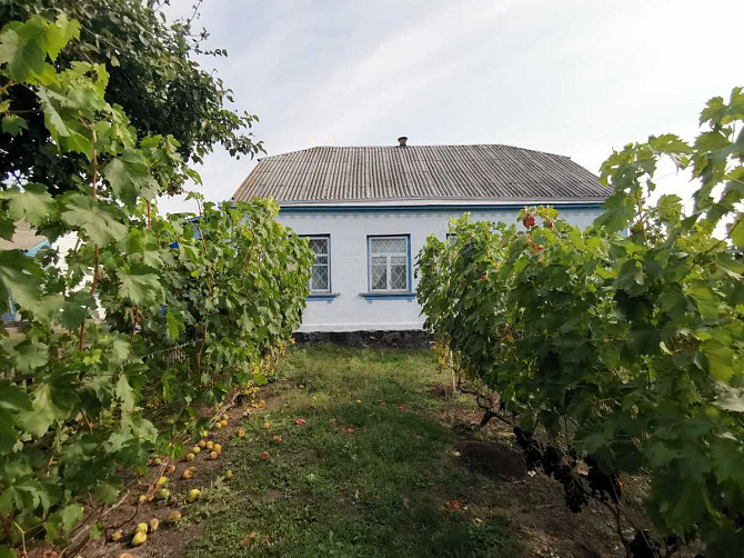 продажа 3-к дом Васильковский, Гребенки, 21000 $  - изображение 8
