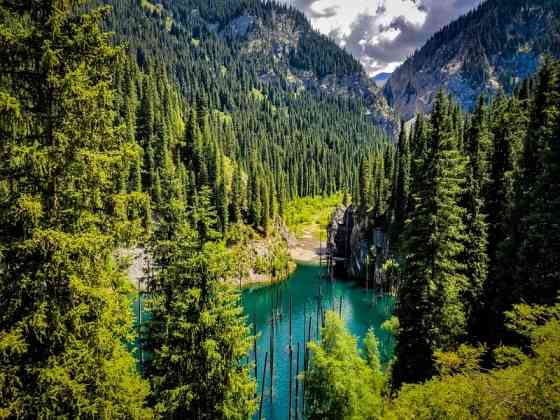 Car and Minibus Rentals with Drivers in Almaty: call: +7 707 815 1707 Винница