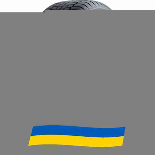 275/45 R20 Gislaved Euro*Frost 6 110V Легкова шина Київ