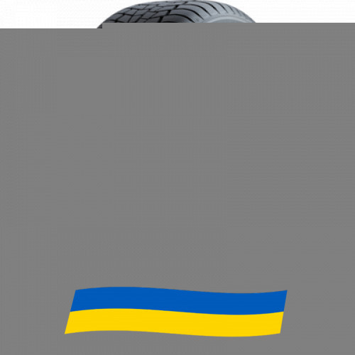 275/45 R20 Gislaved Euro*Frost 6 110V Легкова шина Київ - зображення 1