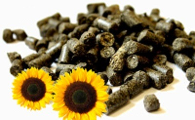 Продаж пелет, брикети з лушпиння Полтава - зображення 1