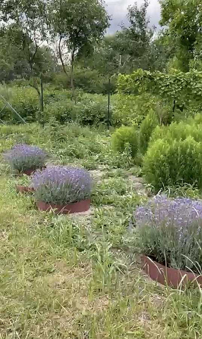 продажа участок под жилую застройку Киев, Голосеевский, 105000 $ Київ - зображення 7