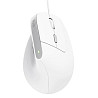 Мышь компьютерная проводная Trust Bayo 2 Ergonomic White 25397_TRUST белая Киев