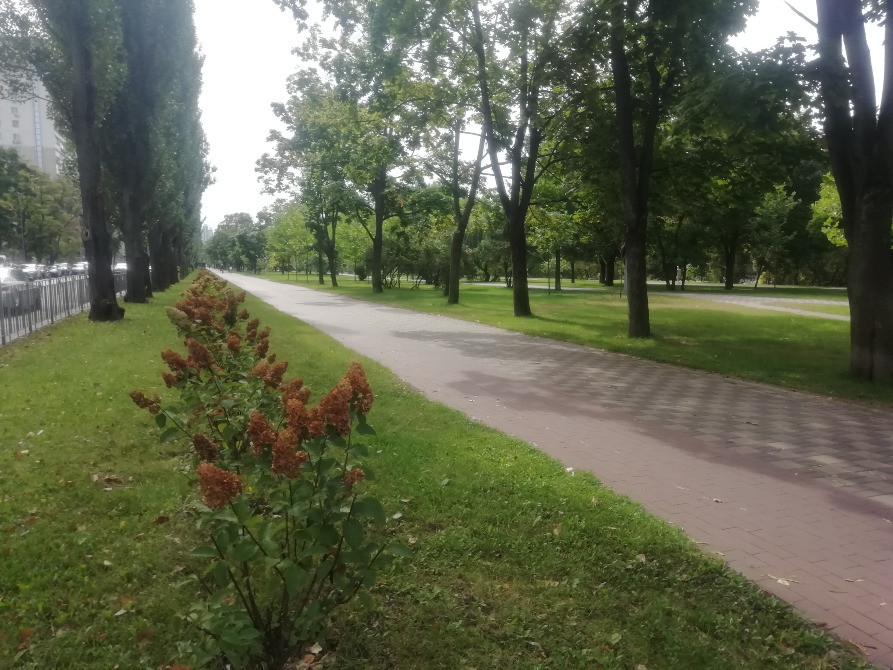 Русанівська наб. 10 , ВИДОВА 2-к. квартира, ст.м. Лівобережна Київ - зображення 12