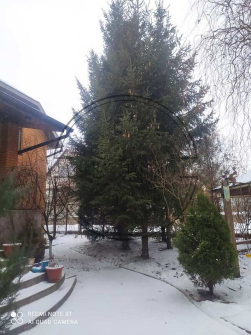 Аренда отличного 3-х этажного дома в с. Великие Дмитровичи. № 139270 Київ - зображення 4