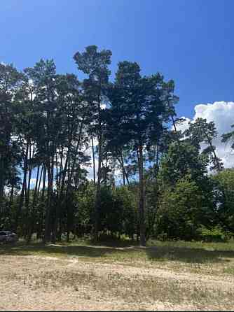 продажа участок под жилую застройку Киево-Святошинский, Бобрица, 41000 $ 