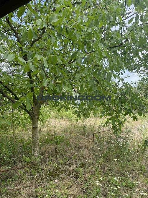 продажа 5-к дом Киев, Дарницкий, 35000 $ Київ - зображення 9