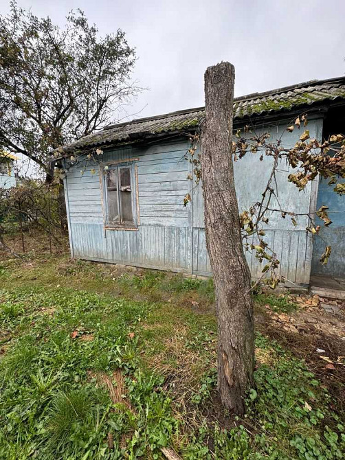 продажа земля сельскохозяйственного назначения Бориспольский, Чубинское, 18000 $  - зображення 9