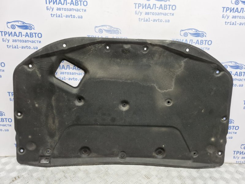 Обшивка капота Chevrolet Epica V250 2.0 X20D1 2006 (б/у) Киев - изображение 1