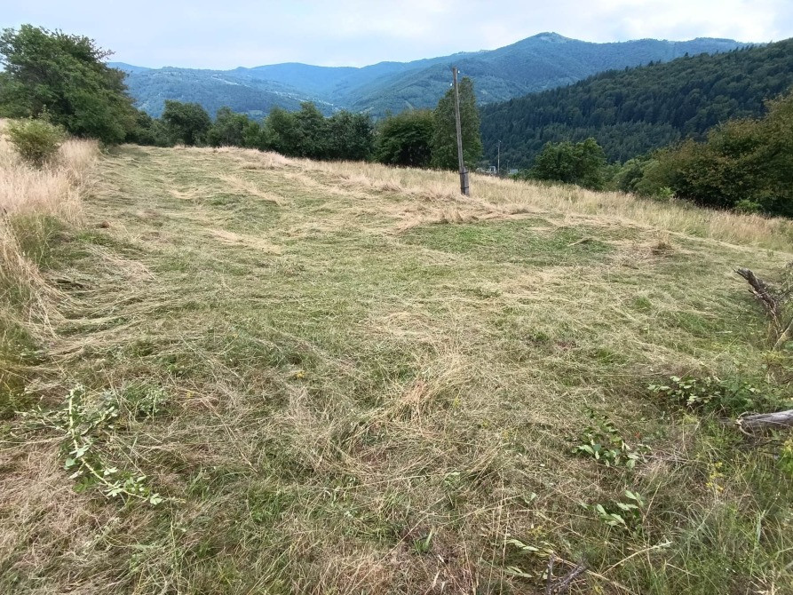 Земельна ділянка в Яремчі 0.12 га Яремче - зображення 4