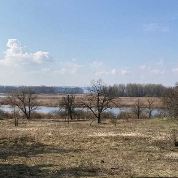 продажа земля сельскохозяйственного назначения Бориспольский, Головуров, 167300 грн.  - изображение 1