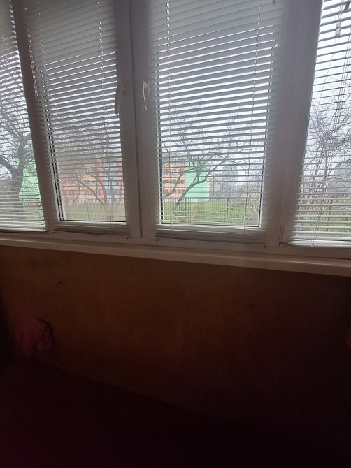 Оренда 1-кім кв, Митниця, вул. Володимира Великого Черкаси - зображення 4