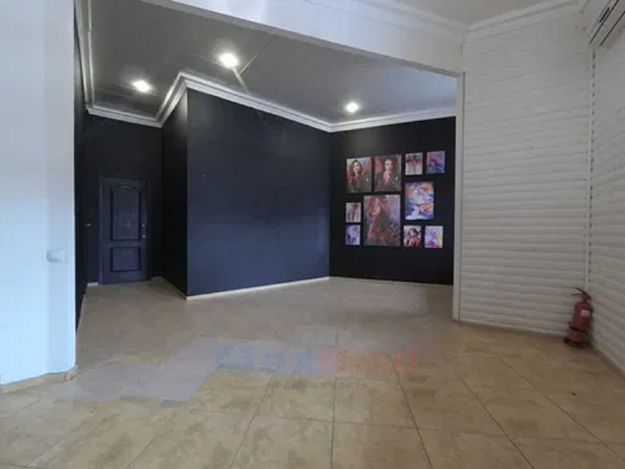 Лесі Українки бульв 23, приміщення 43м Київ - зображення 7