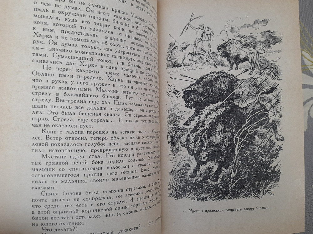 Лизелотта Вельскопф Генрих Харка сын вождя бпнф библиотека приключений фантастики Запоріжжя - зображення 8