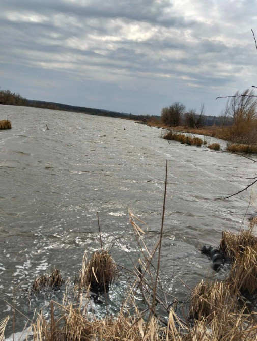 Продається земельна ділянка біля водойми та лісу Біла Церква - зображення 1