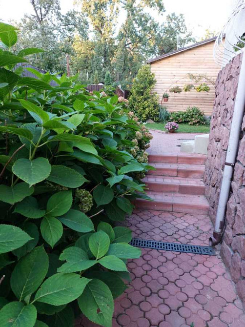 долгосрочная аренда 5-к дом Киев, Оболонский, 40000 грн./мес. Киев - изображение 11