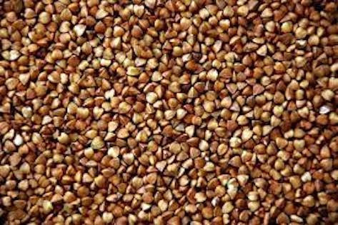 Зерно гречки від виробника Одеса - зображення 1
