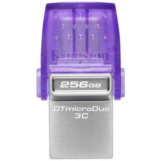 Флеш пам`ять Kingston DataTraveler microDuo 3C 256GB Type-C USB 3.2 (DTDUO3CG3/256GB) Харків