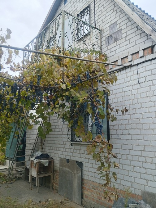 Продам дом -дачу в Подгородном СТ Горизонт Днепр - изображение 1