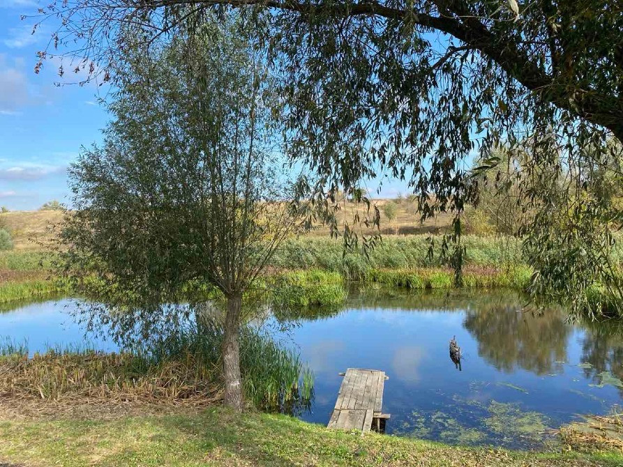 Продаж будинку с. Мала Сквирка, на березі річки Рось! Белая Церковь - изображение 11