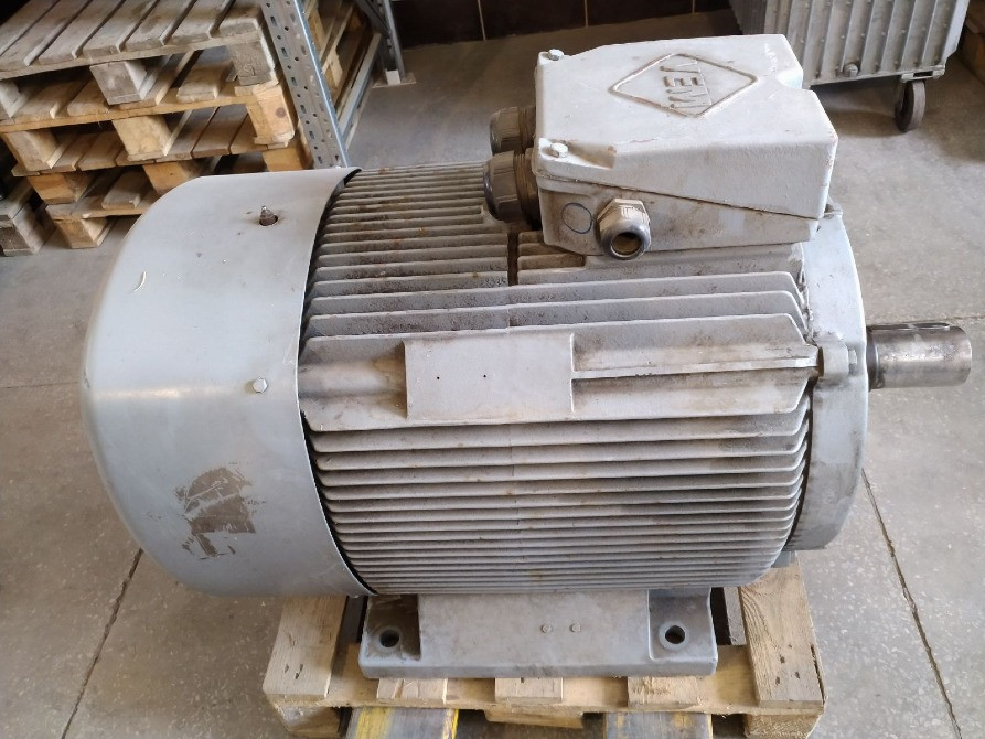 Електродвигун 110/1500 Полтава - зображення 1