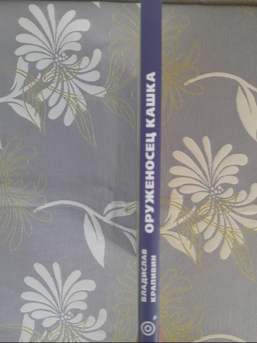 Владислав Крапивин Оруженосец Кашка приключения фантастика Запорожье - изображение 9