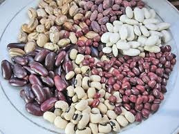 Фасоль товарная оптом Івано-Франківськ - зображення 1