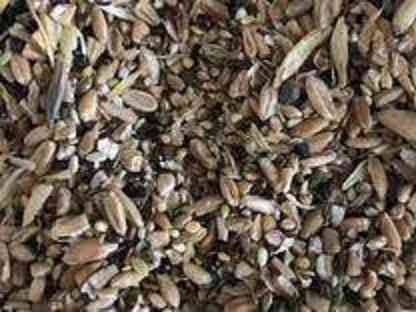 Куплю некондицію та зерновідходи. Самовивіз. Дніпро