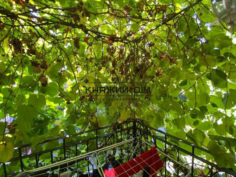 БЕЗ КОМІСІЇ! Оренди шикарної 2-х кім. квартири на ст. м.Золоті Ворота. Код об’єкта 11203672 Київ - зображення 7