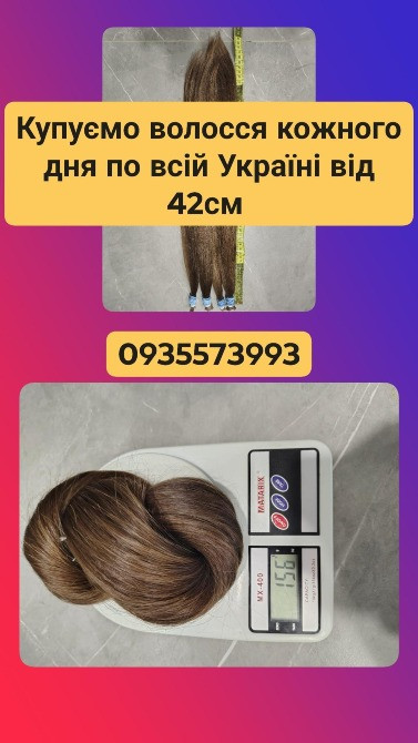 Купуємо волосся кожного дня по всій Україні від 42см -0935573993 Киев - изображение 1