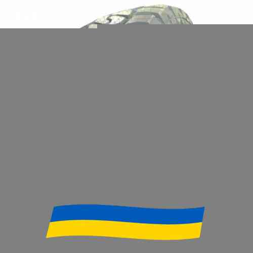 305/70 R17 GRIT KING RIDGE CLIMBER R/T 121/118Q Позашляхова шина Київ