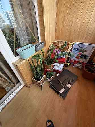 продажа 3-к квартира Киев, Дарницкий, 95500 $ Київ