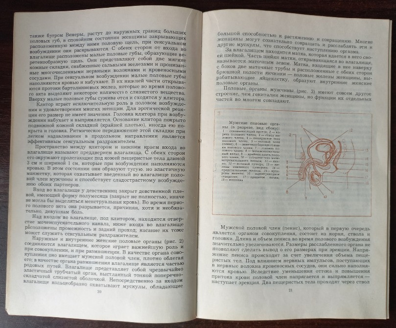 Сексуальная гармония супружеской пары. Кришталь В.В. Харьков - изображение 4