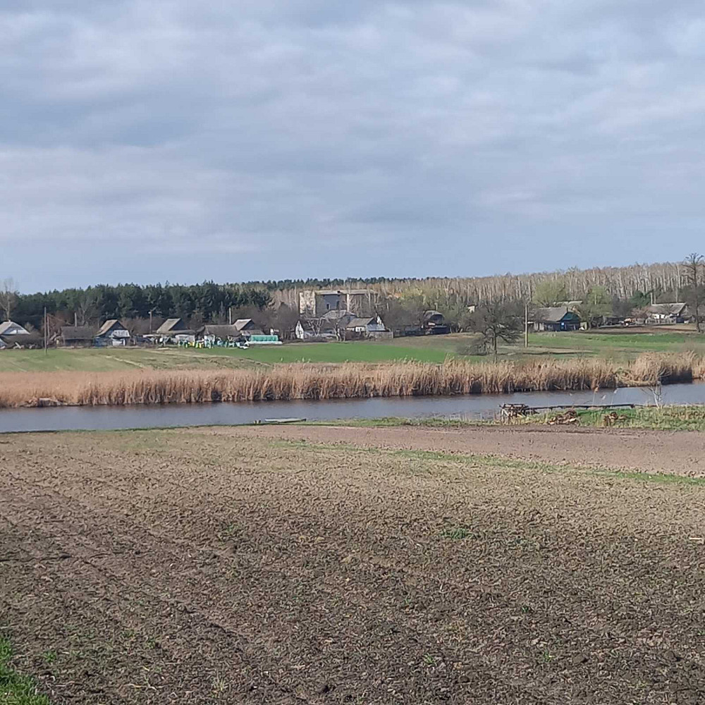 Мальовнича ділянка 15 соток Радомышль - изображение 3