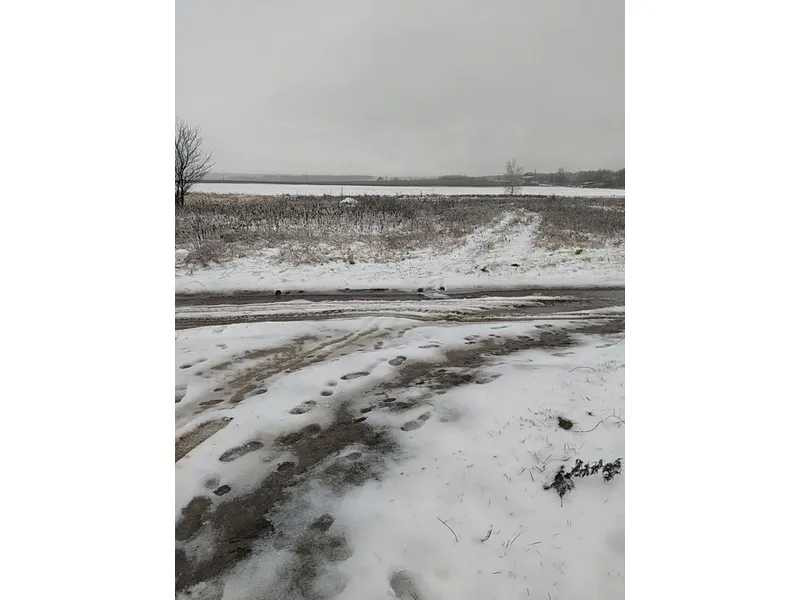 продажа земля сельскохозяйственного назначения Макаровский, Мостище, 96810 грн.  - изображение 2