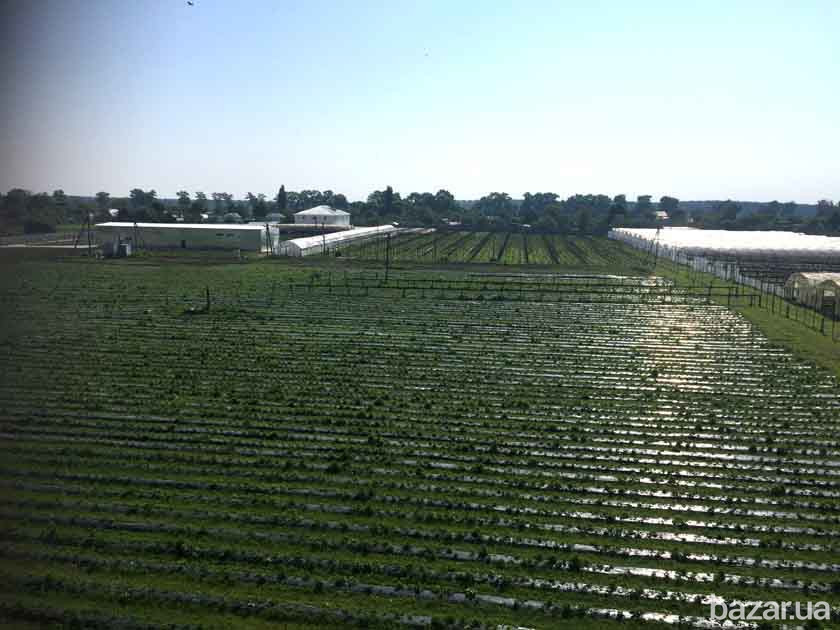 ПРОДАМ ПРОИЗВОДСТВЕННО СКЛАДСКОЙ КОМПЛЕКС! Київ - зображення 9