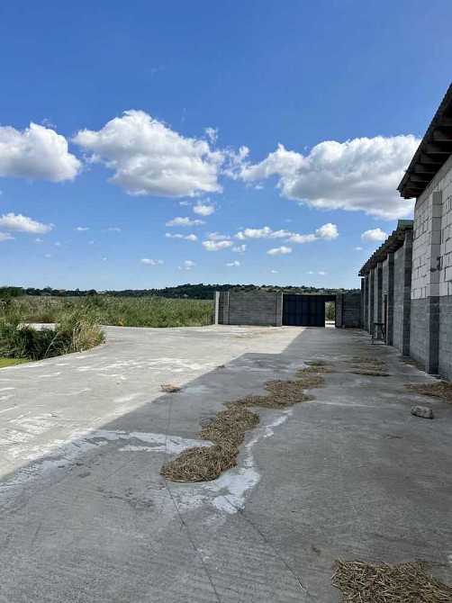 продажа земля сельскохозяйственного назначения Киево-Святошинский, Белогородка, 800000 $  - изображение 7