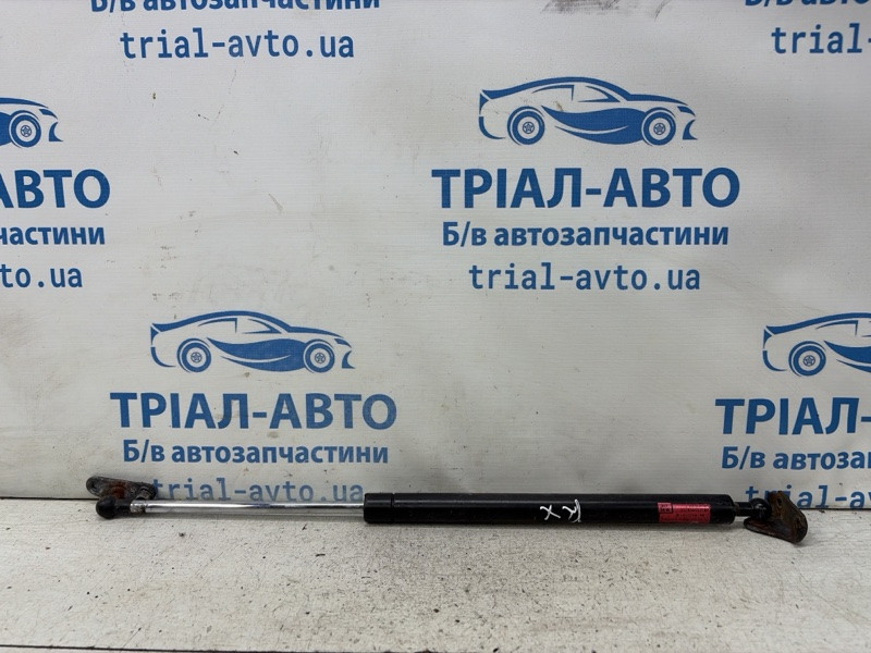 Амортизатор крышки багажника Lexus RX 350 2003-2009 6895049185 (Арт. 83809) Київ - зображення 1