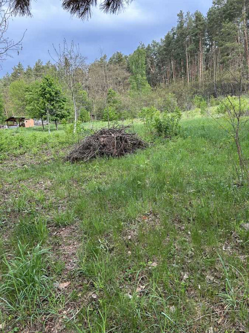 продажа участок под жилую застройку Васильковский, Васильков, 15000 $ Васильков - изображение 5