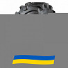 620/70 R42 Tianli R1W 160/160A8/D Сільгосп шина Киев