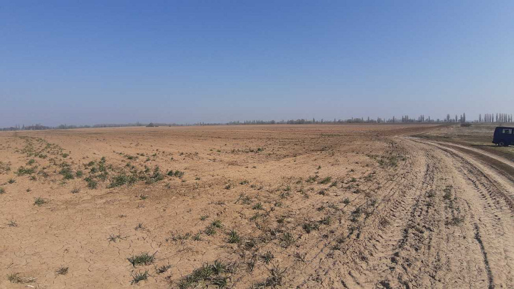 продажа земля сельскохозяйственного назначения Бориспольский, Вороньков, 304000 грн.  - зображення 4