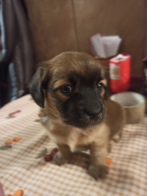 В хороші руки Київ - зображення 1